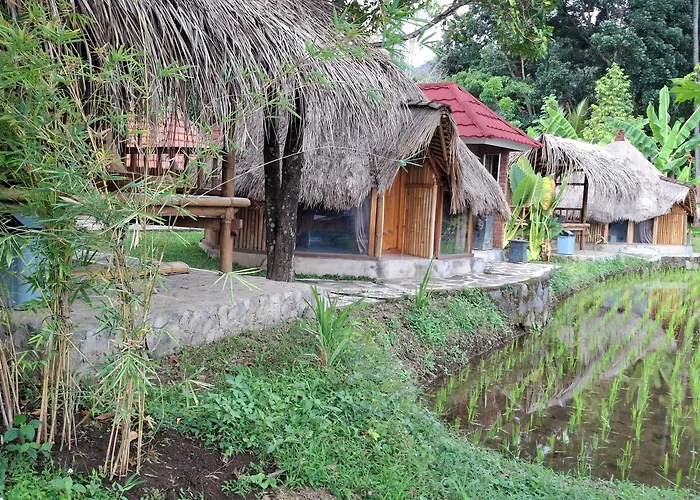 Uma Nirmala Aling-aling Mini-hôtel Singaraja
