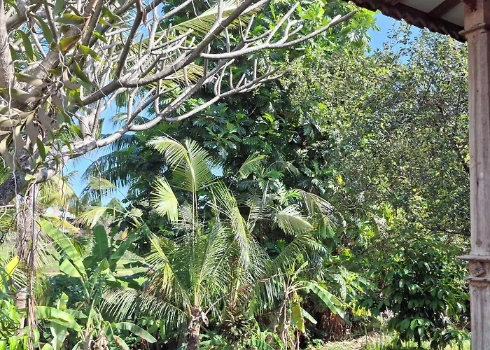 Uma Nirmala Aling-aling Mini-hôtel