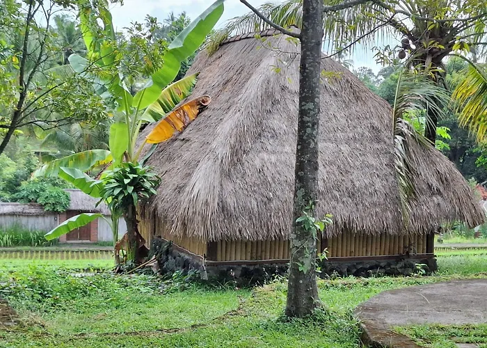 Uma Nirmala Aling-aling