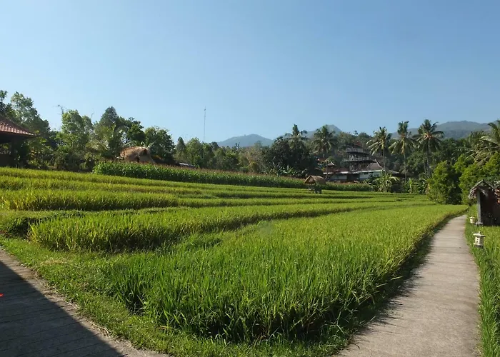 Uma Nirmala Aling-aling 3* Singaraja