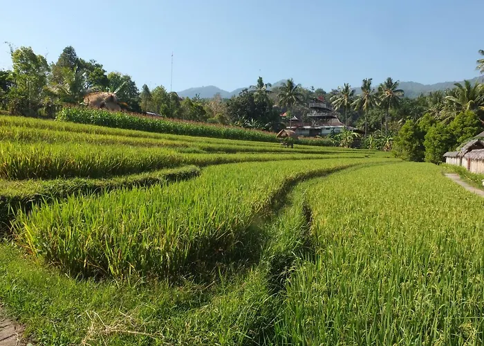 Uma Nirmala Aling-aling